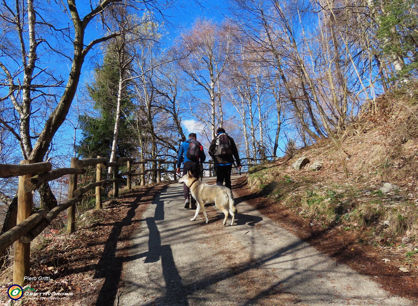 11 Sulla comoda strada agrosilvopastorale (sent. 579).JPG